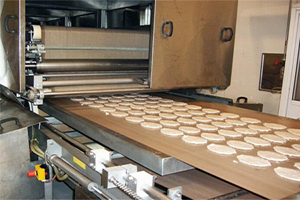 PTFE Fabrics For Conveyor