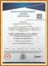 Quality Management System Certificate